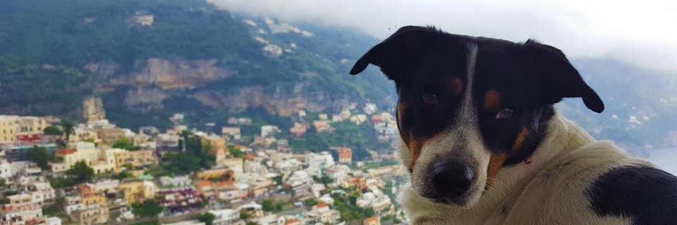 4ugusta's profile banner image