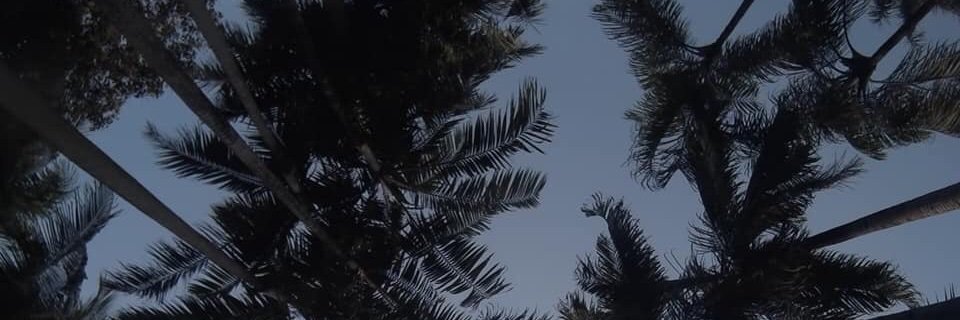 osnapitzreg3's profile banner image