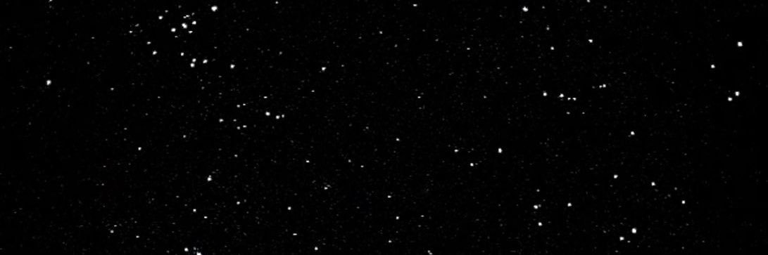 Adalie banner