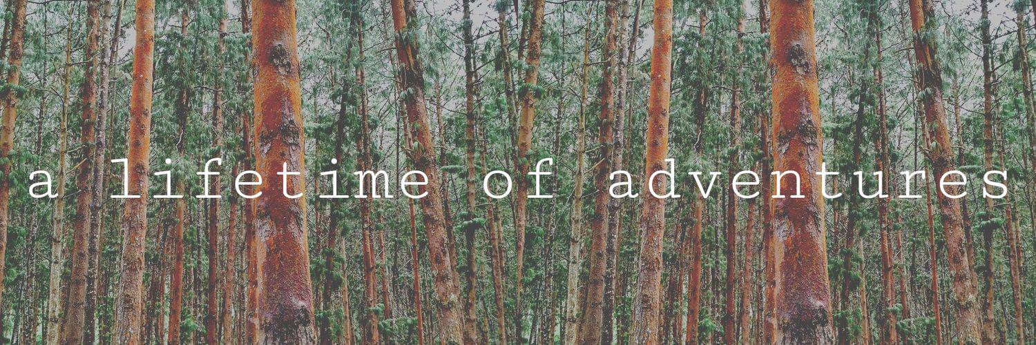 WanderWonderMe's profile banner image