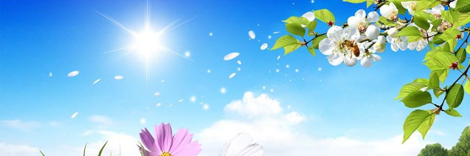 mr_yash___'s profile banner image