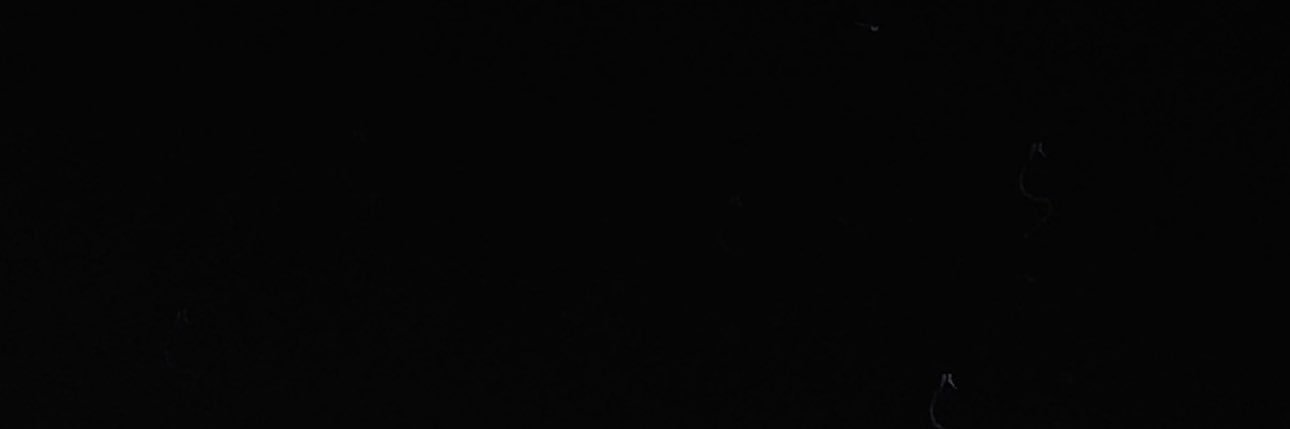 namachu1cho's profile banner image