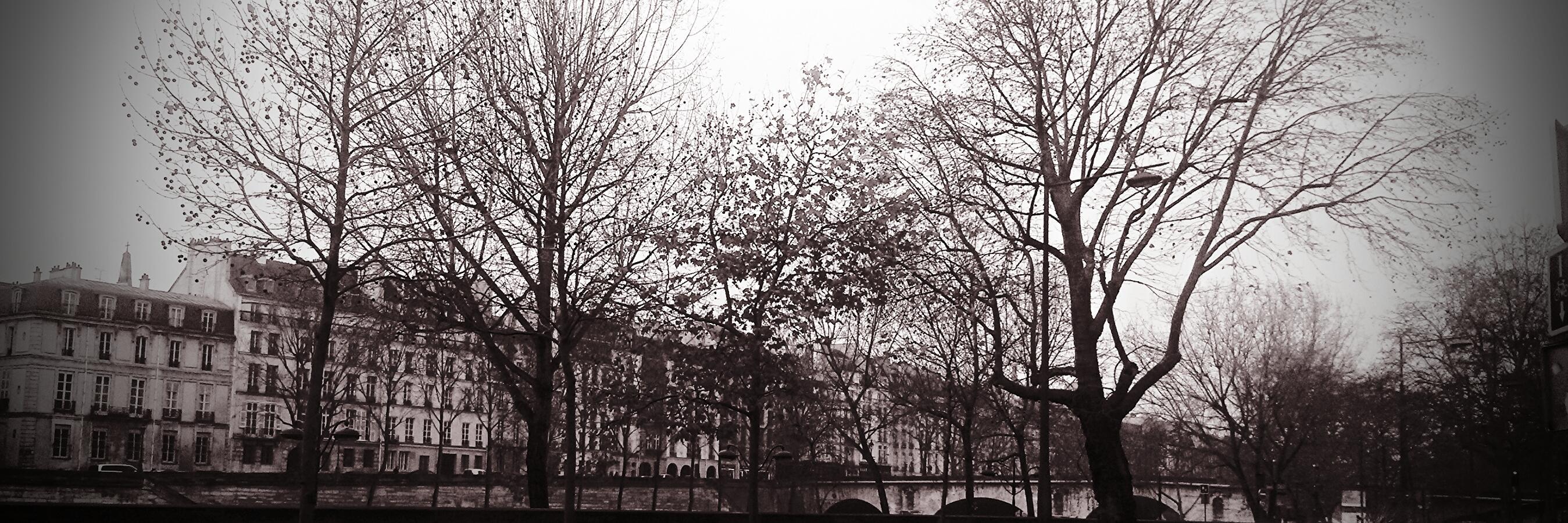 María Chávez Canales banner