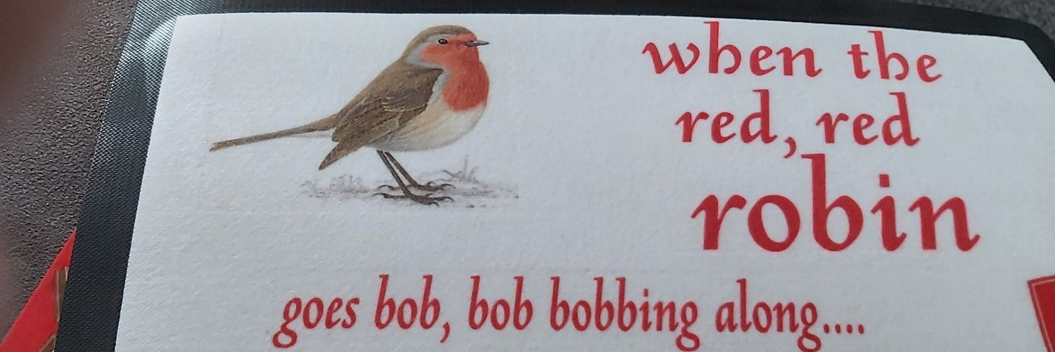 robins135's profile banner image