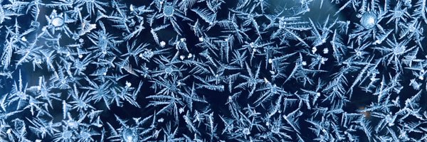 fabi_sho Profile Banner