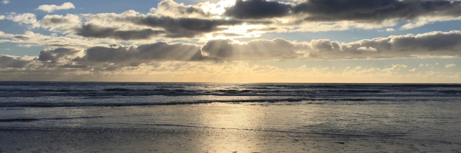 Shelly Hacker 💙 banner