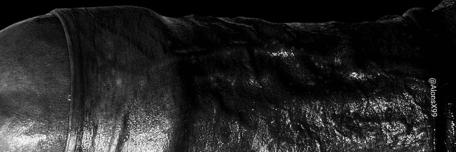 AlonsX99's profile banner image
