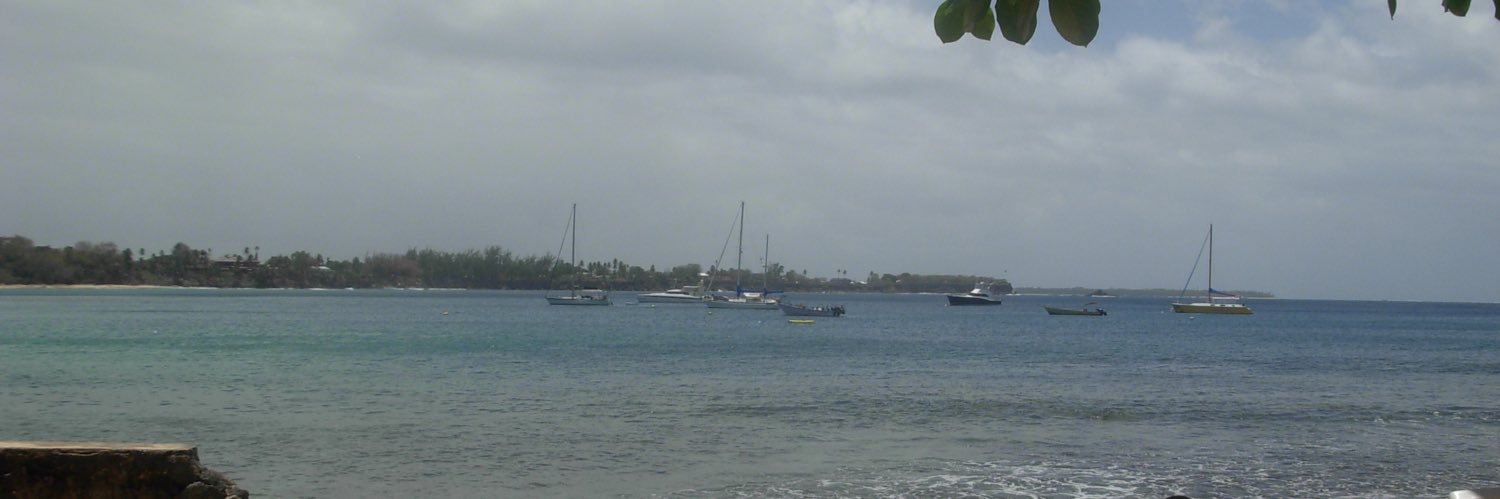 Randy Townsend banner