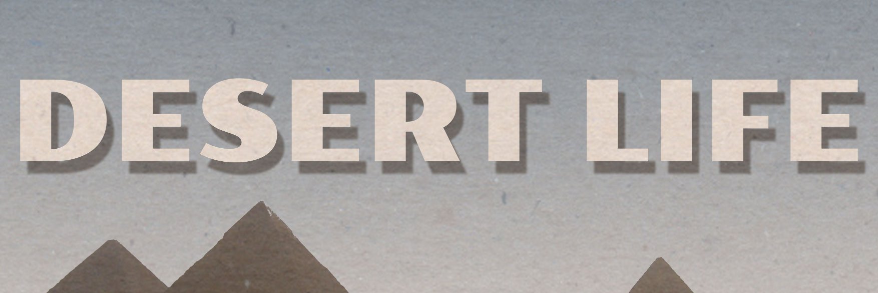 cjswales's profile banner image