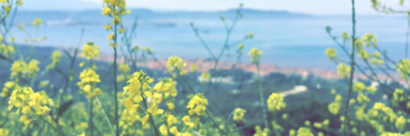 faq892's profile banner image