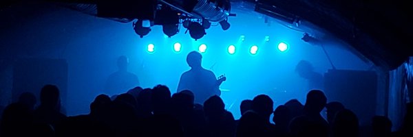 chameleonsmark Profile Banner