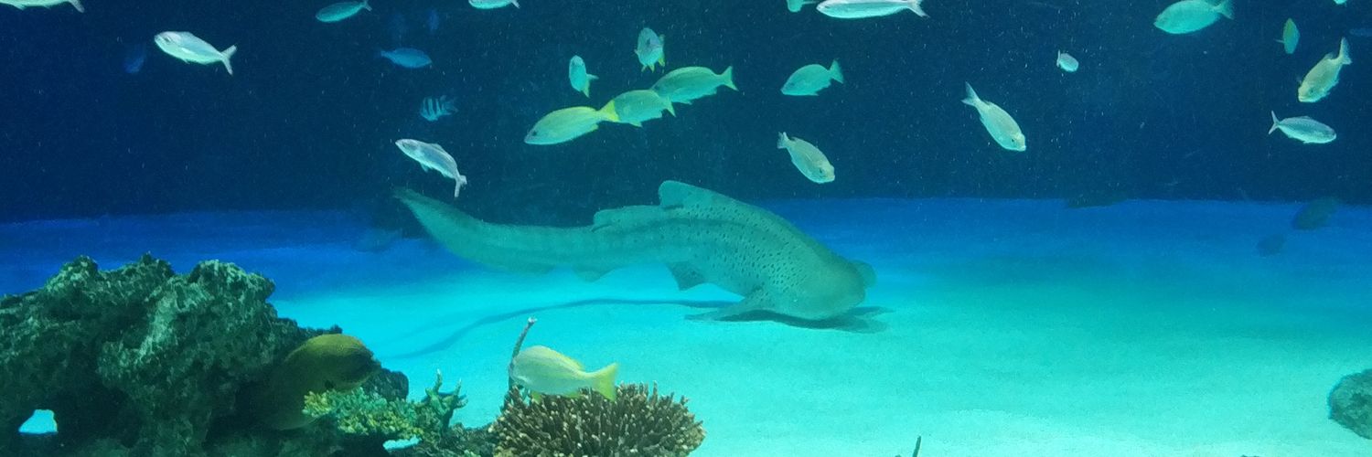 隆一/るーここ banner