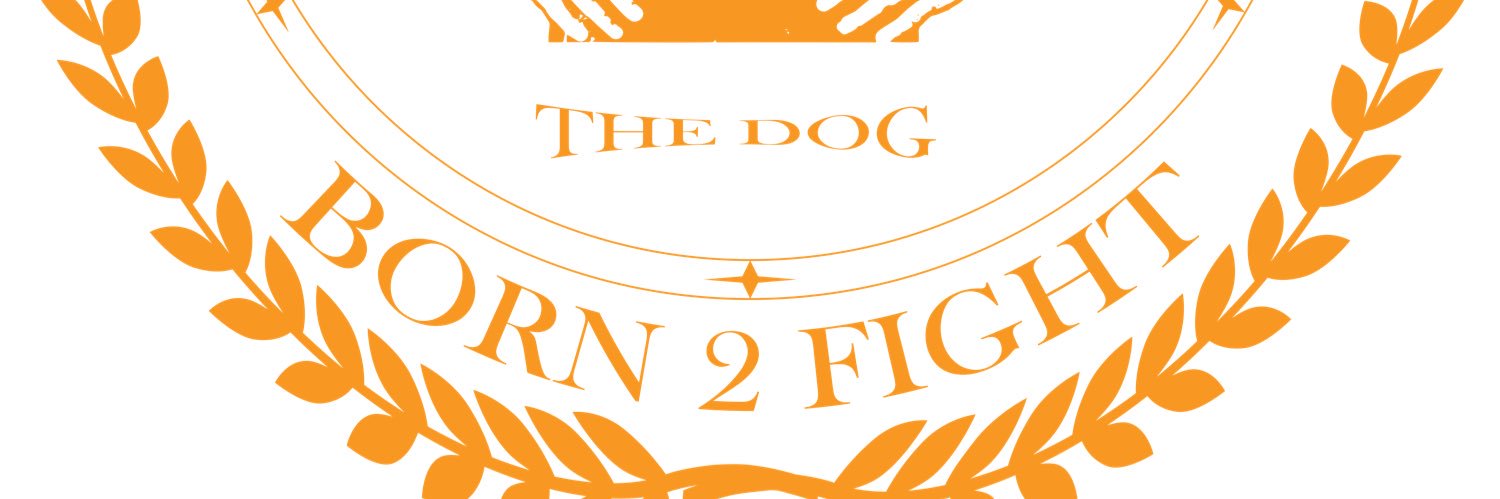 TheDogBeni's profile banner image