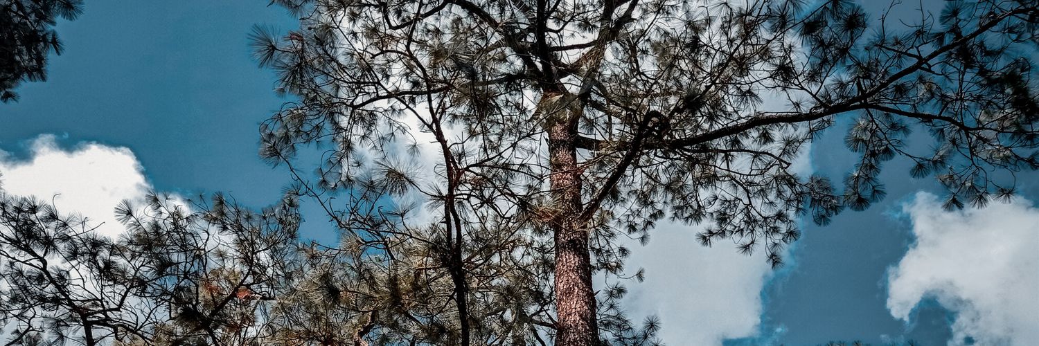 112Eye's profile banner image