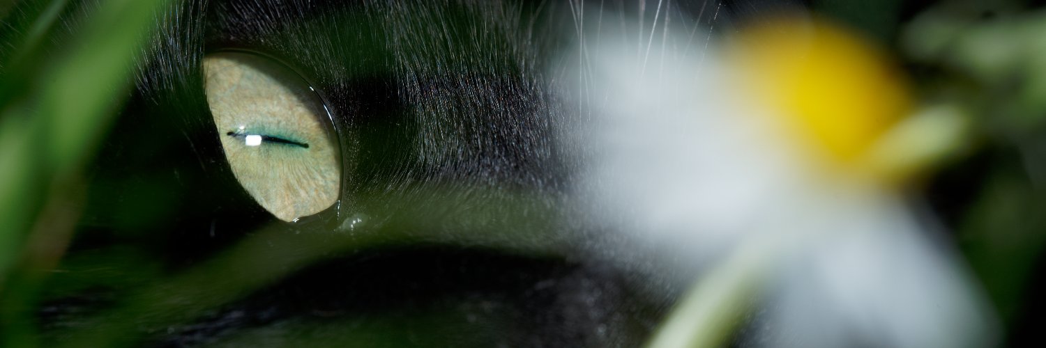MyQuays's profile banner image