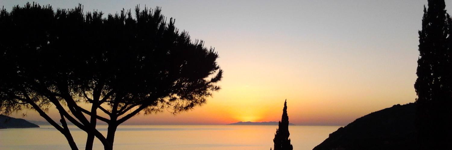 RICCARDO GAMBELLI banner