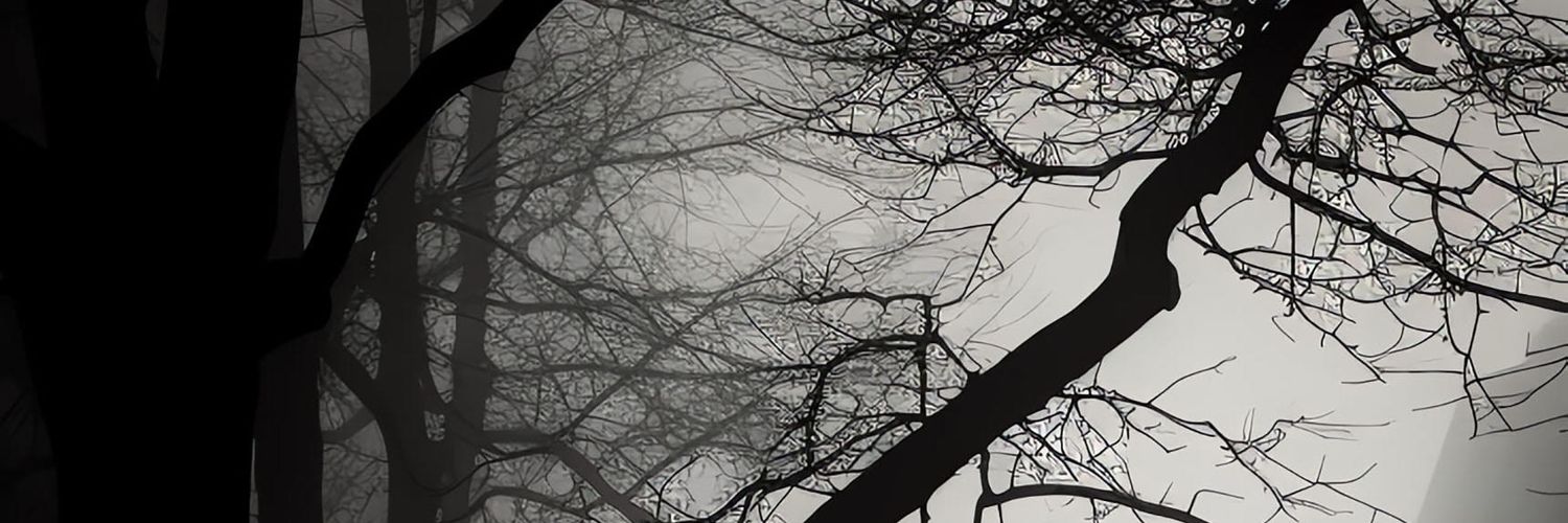 Emmanuel Harry banner