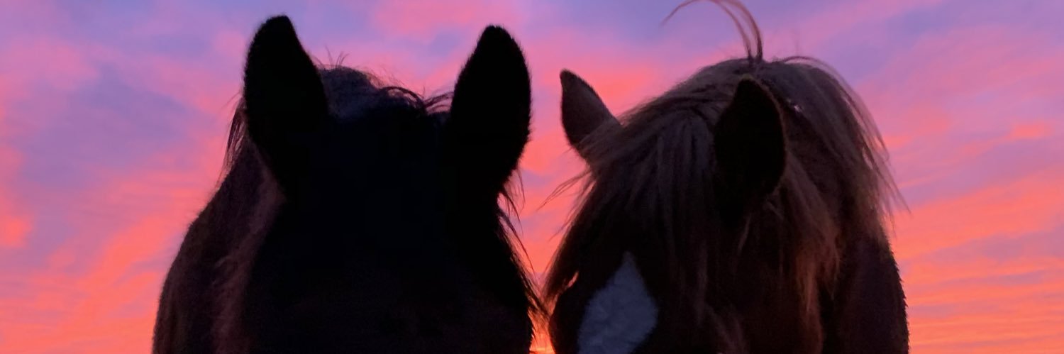 StephenKeogh_5's profile banner image