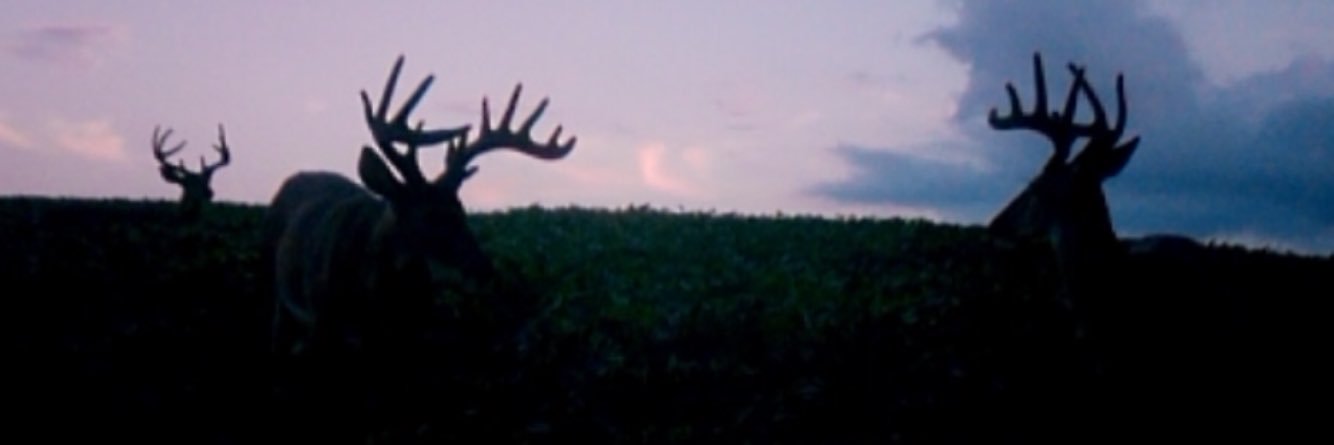 ProTalkOutdoors's profile banner image