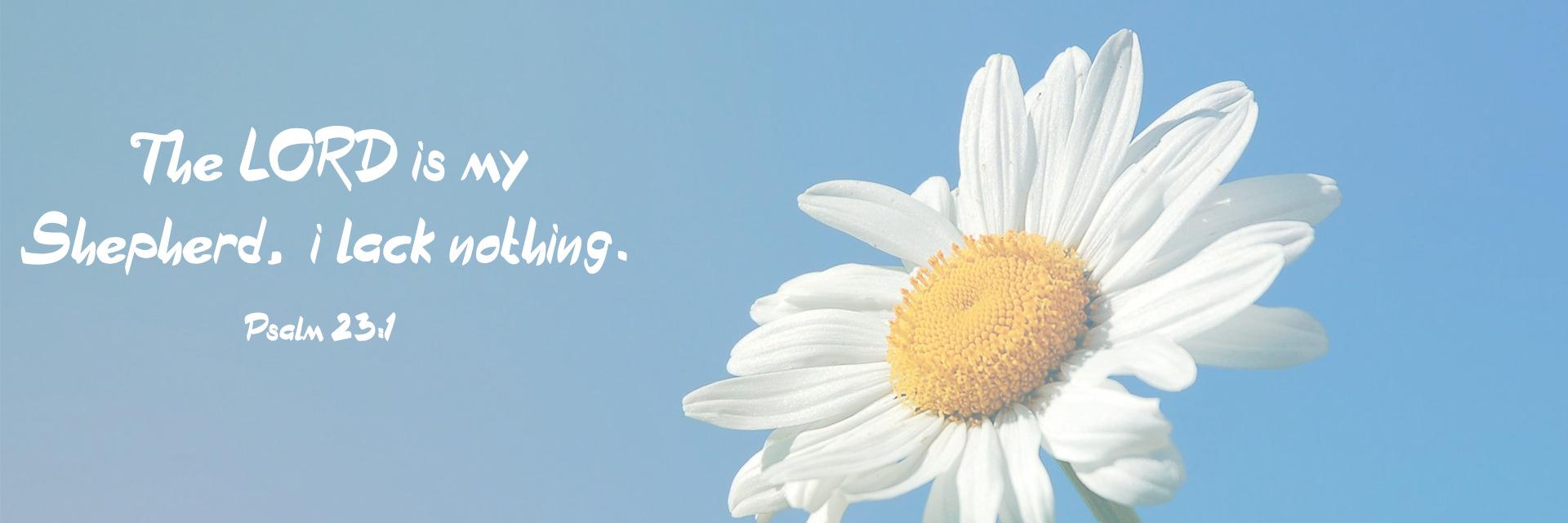 Lulismaresteves's profile banner image