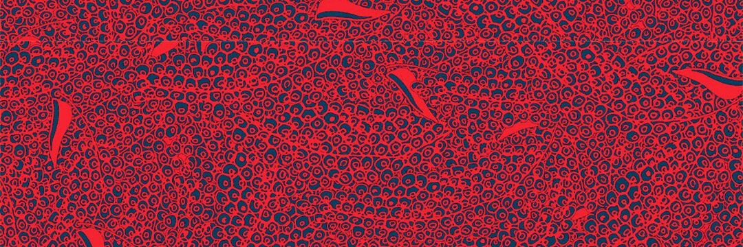raZu_xo's profile banner image