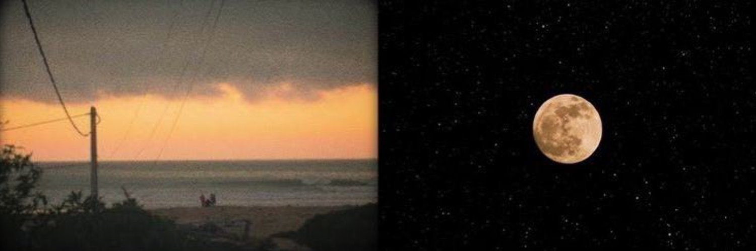 vic banner
