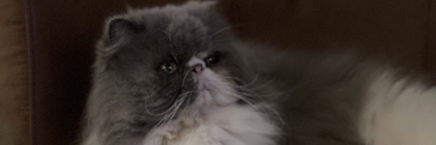 MariettonH's profile banner image