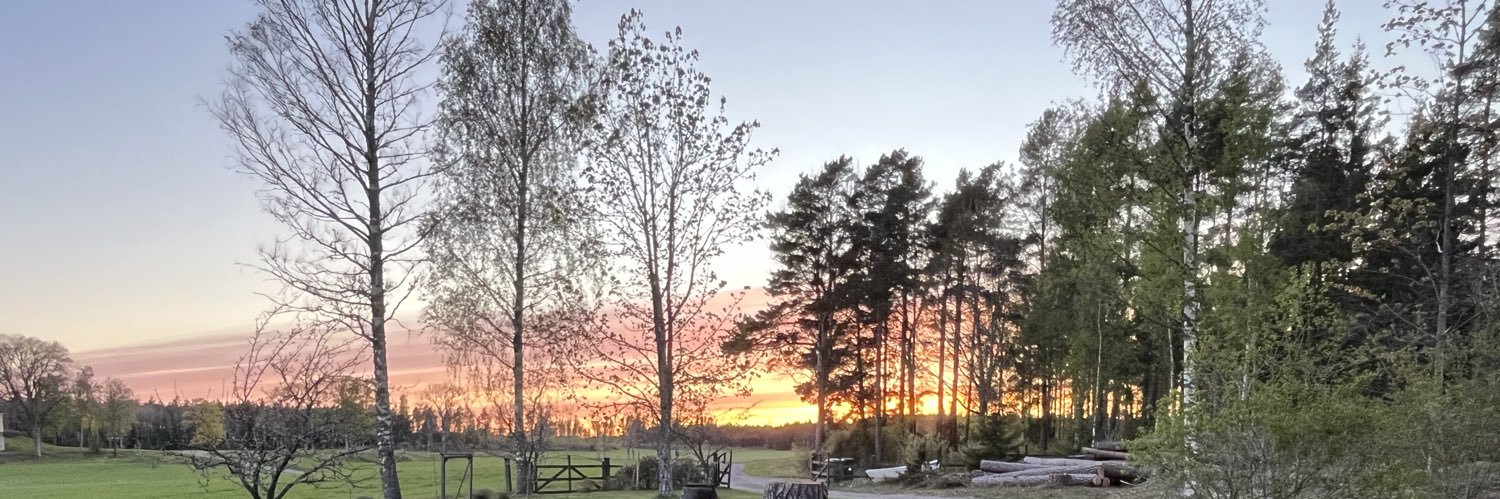 MarieModestybla's profile banner image