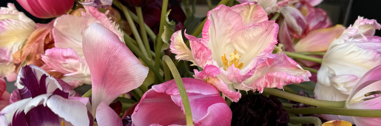 Sebastián Gallego banner