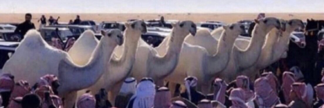 مخلد عايض النفيعي banner