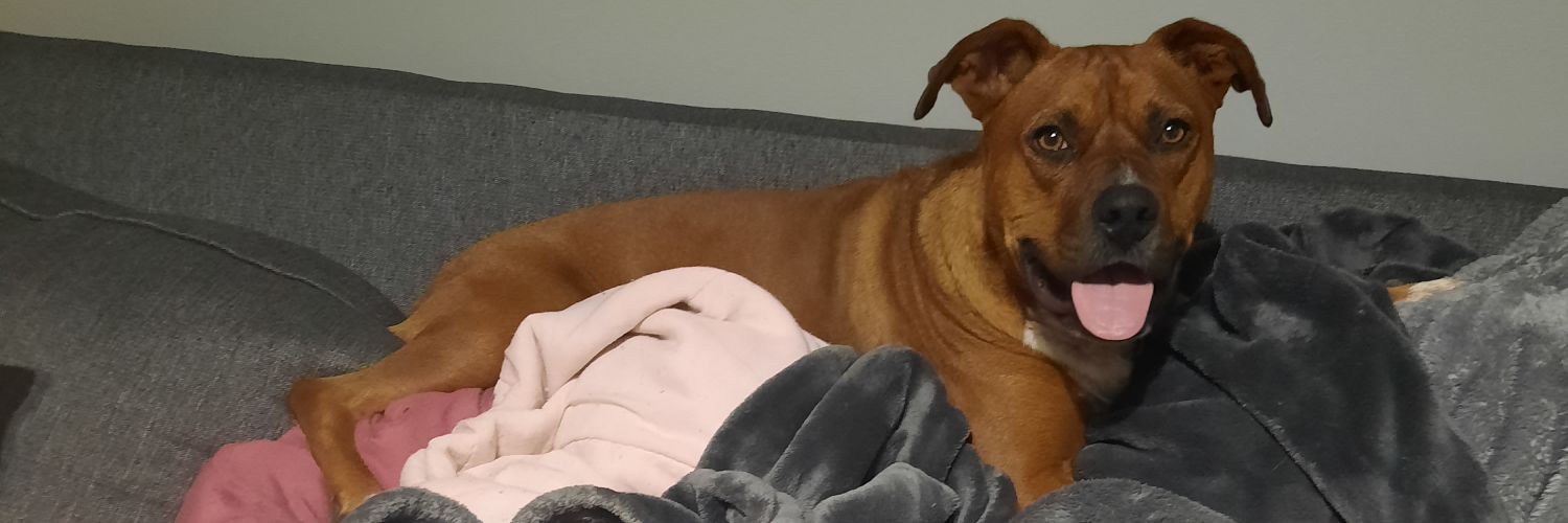 💸 Jon 💸 banner