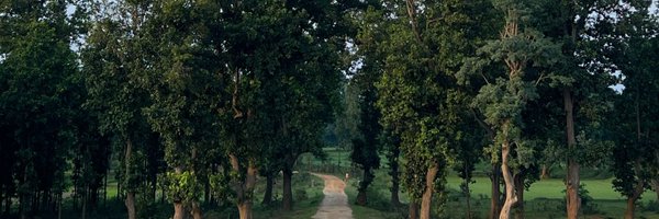 karnsatyarthi Profile Banner