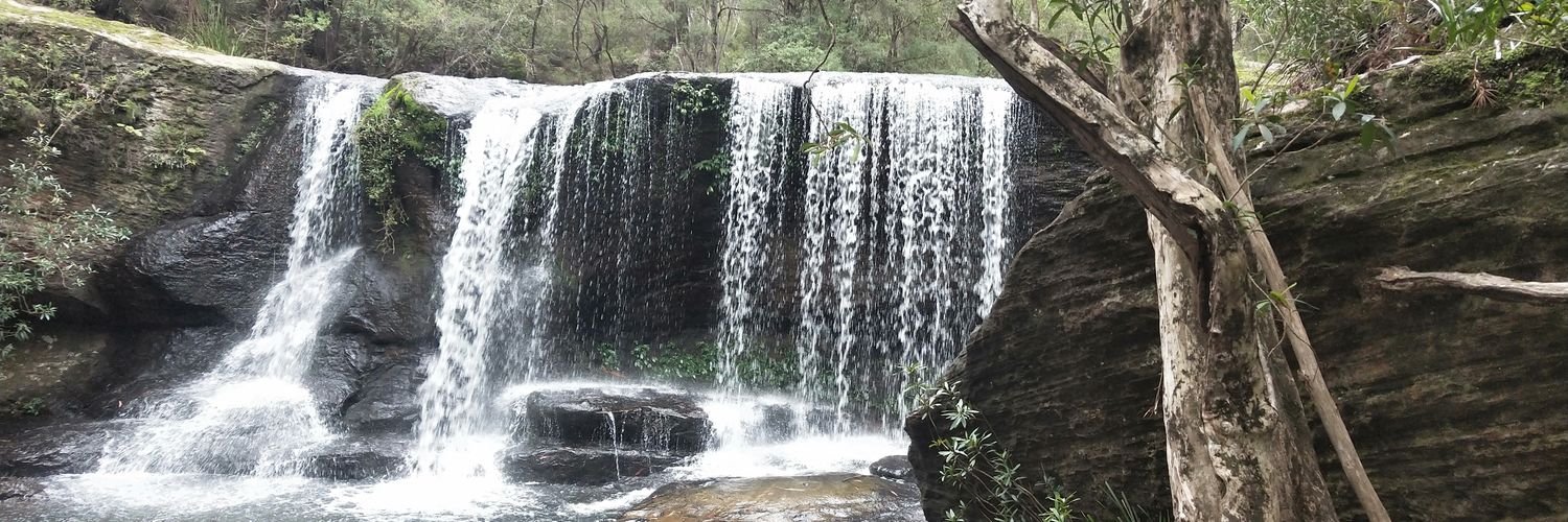 Nathan Varley banner