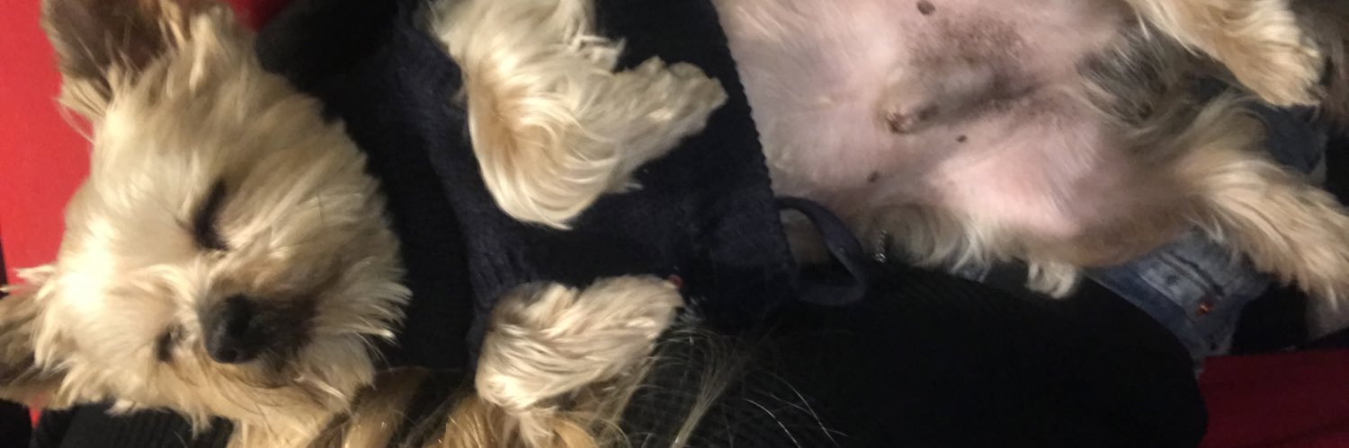 Mel_Rhn's profile banner image