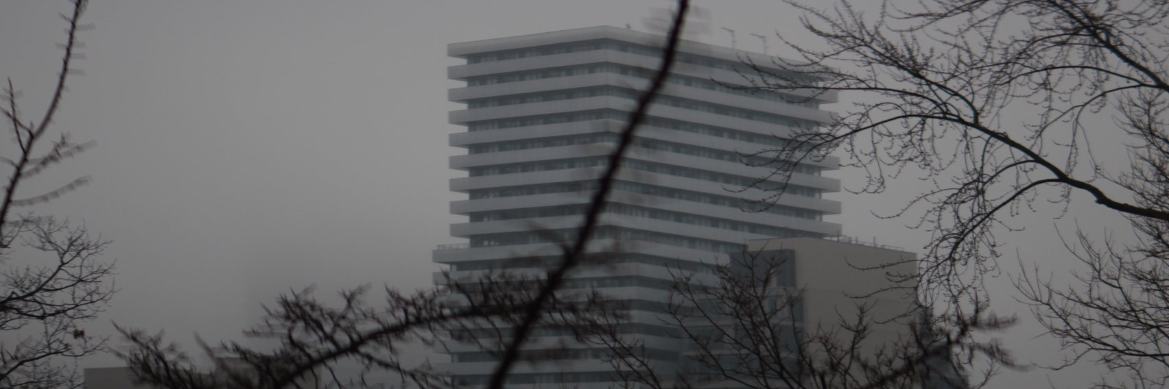 Robert Hensley-King banner