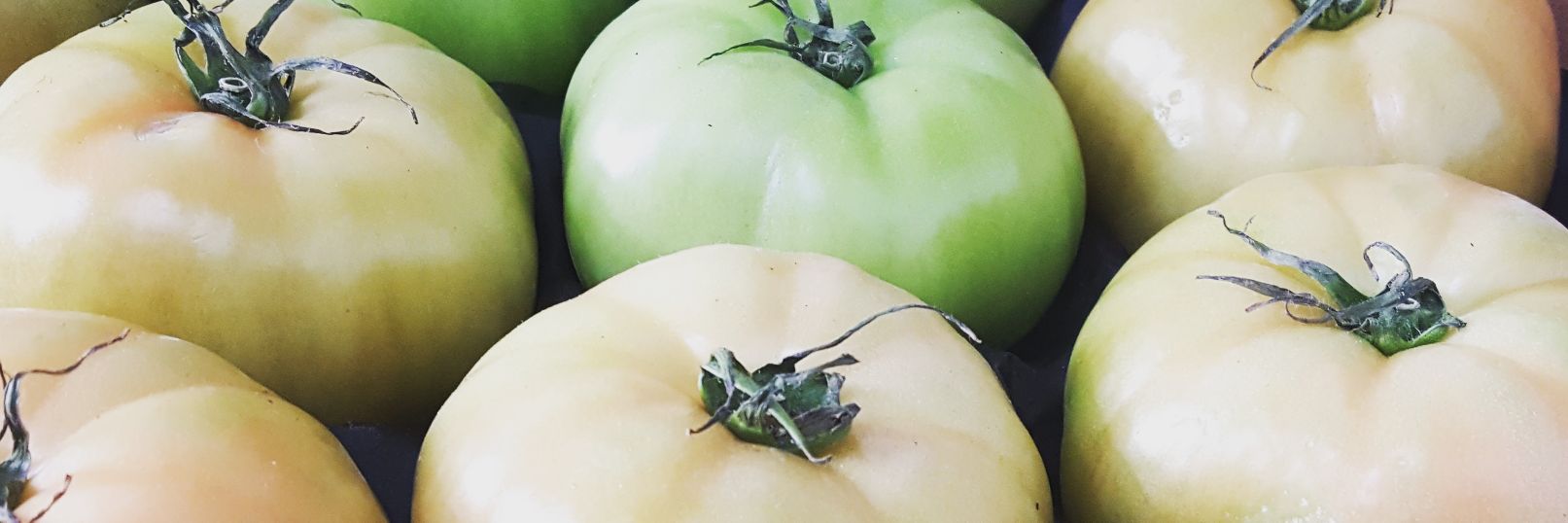 The Green Machine banner