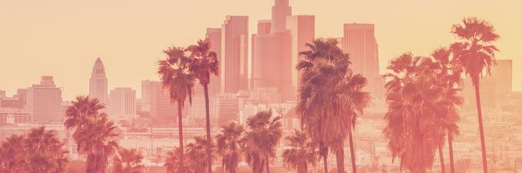 Maryne_Zicka's profile banner image