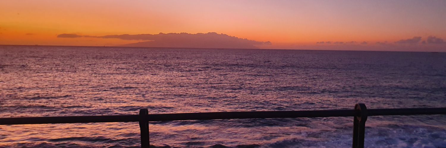 tanalan1's profile banner image