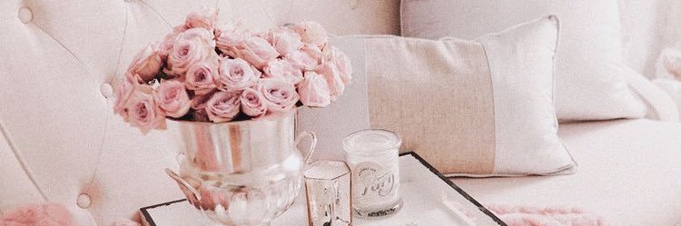 lise_smets's profile banner image