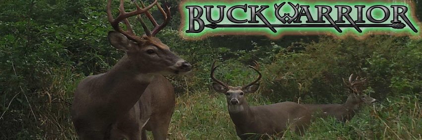 BuckWarriorLLC's profile banner image