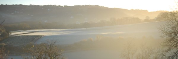 UCL_Loneliness Profile Banner