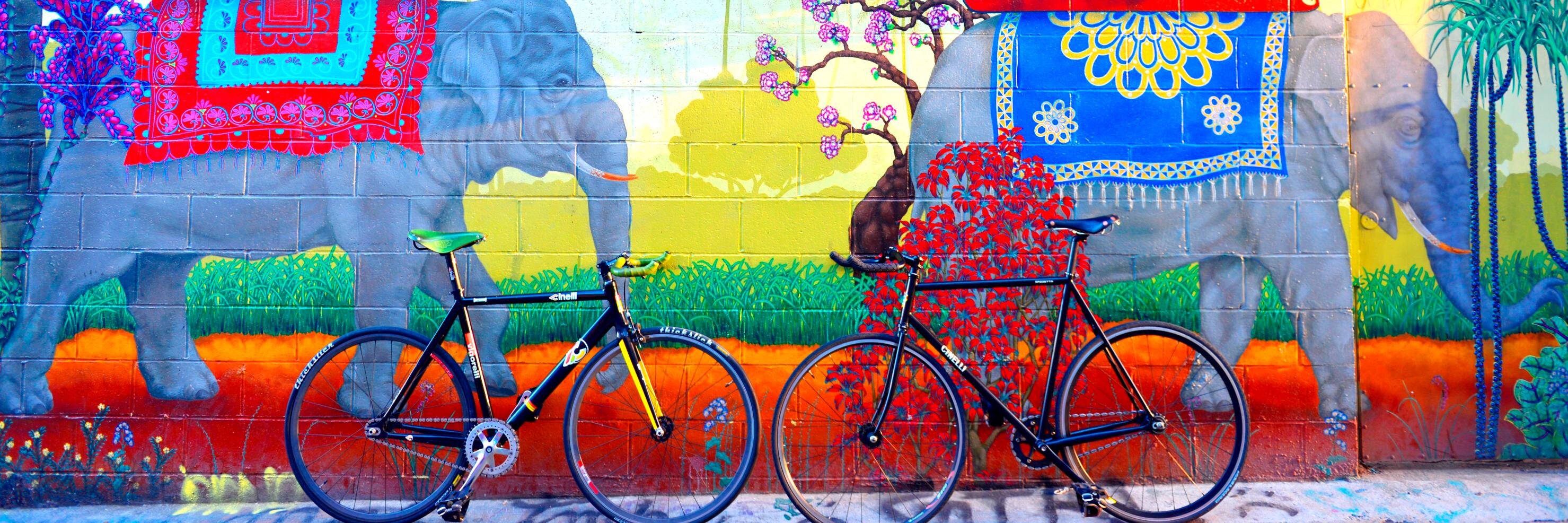 Kelly Suzanne banner