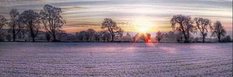 3d_hd3's profile banner image