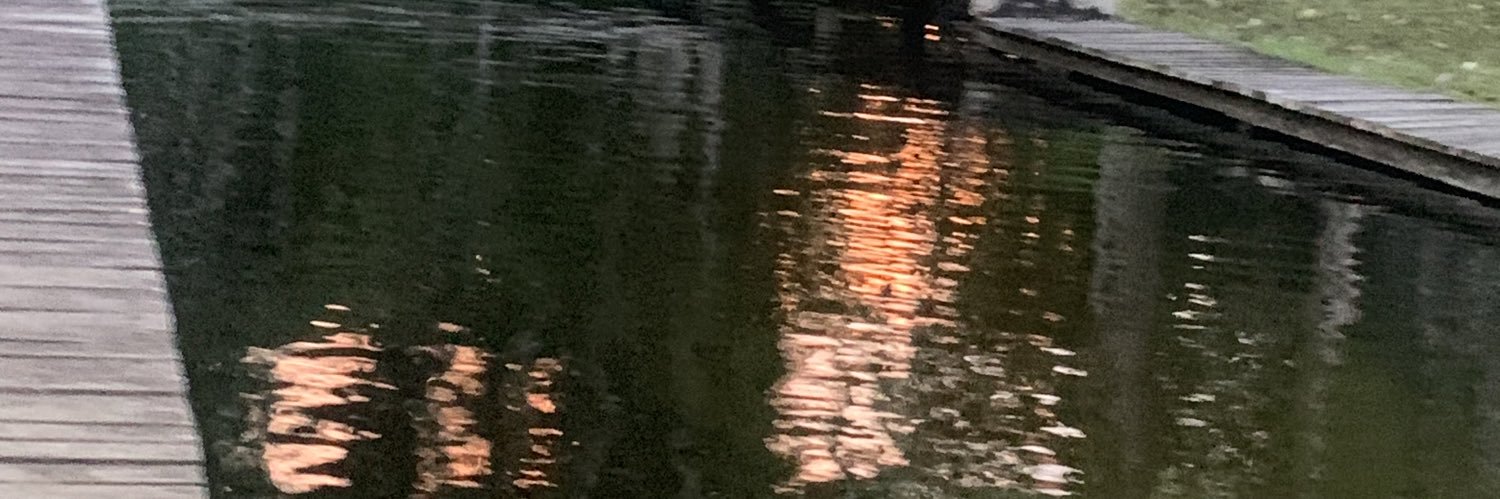 LenizeM's profile banner image