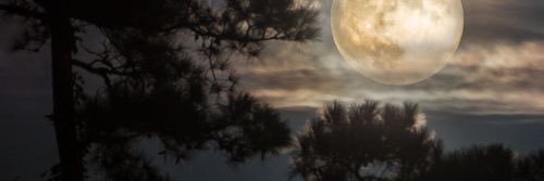 AtraCycnus's profile banner image