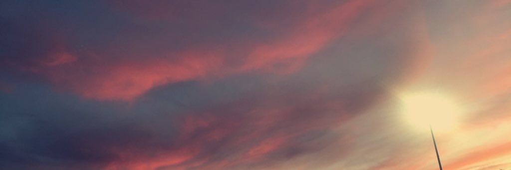 _rayna_shay's profile banner image