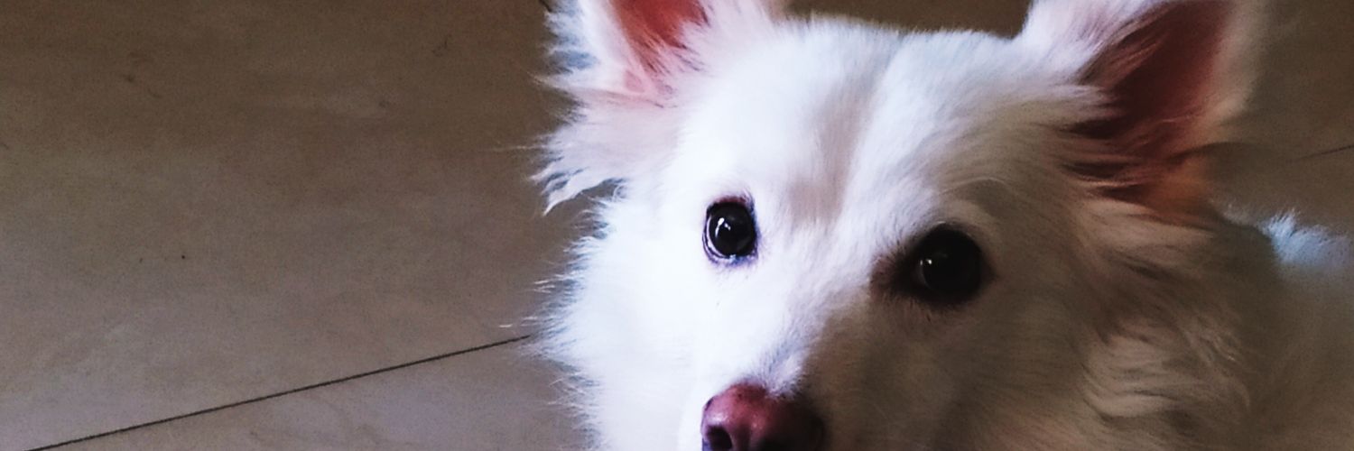 silverberry79's profile banner image