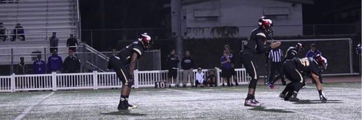 Emari Demercado banner