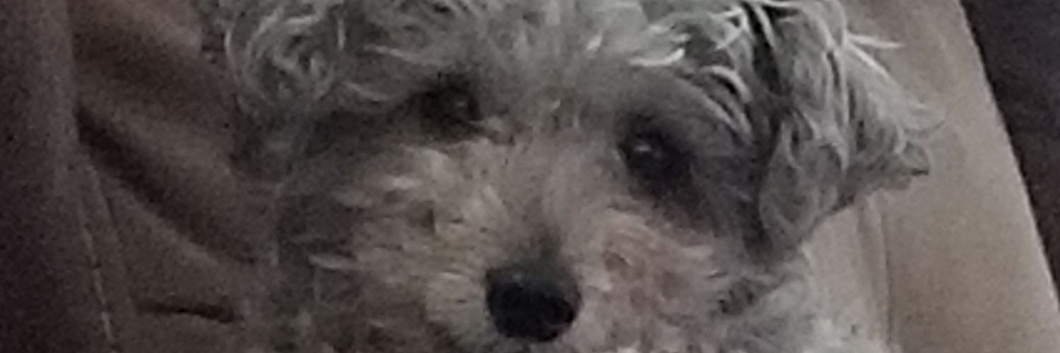 Boo93001's profile banner image