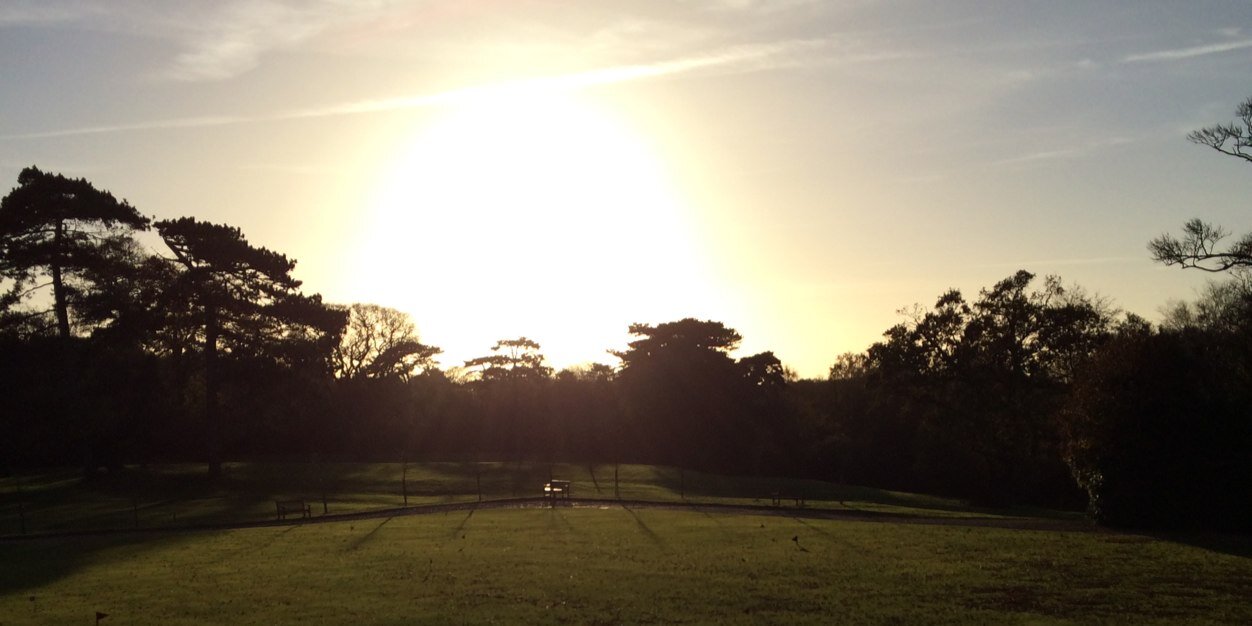 doidge_david's profile banner image